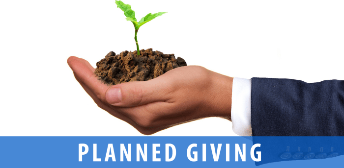 Giving planned