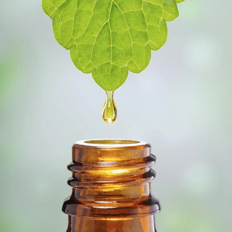 Natural extracts and their effectiveness