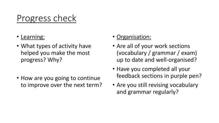 Mini Exams for Tracking Progress