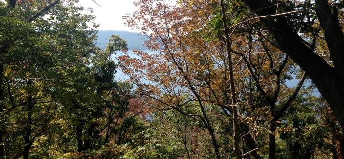 Cushetunk mountain preserve