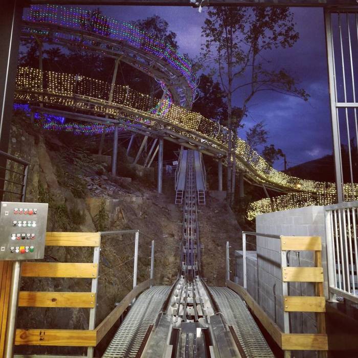 Rowdy bear mountain coaster