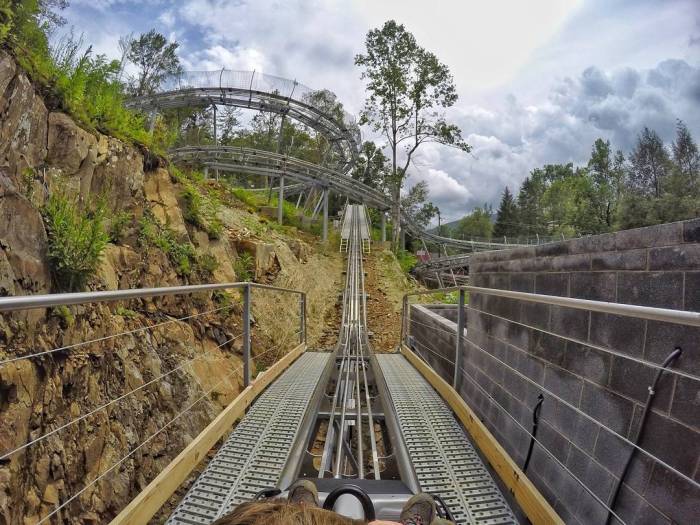 Bear rowdy gatlinburg mountain coaster