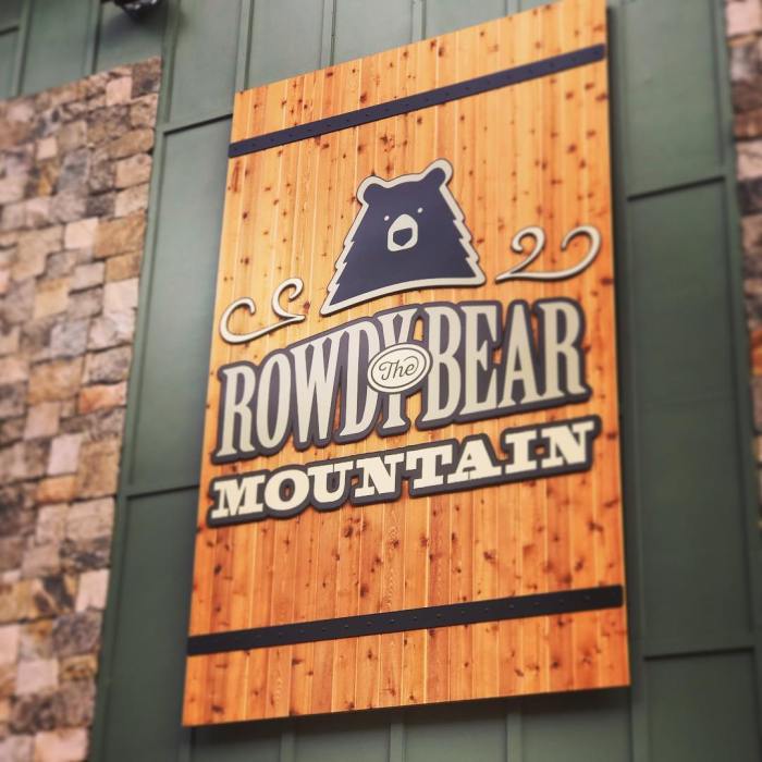 Mountain coaster rowdy bear gatlinburg