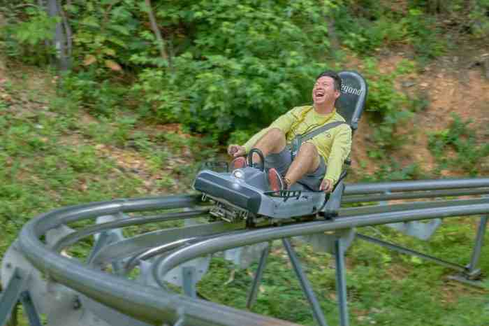 Gatlinburg coaster