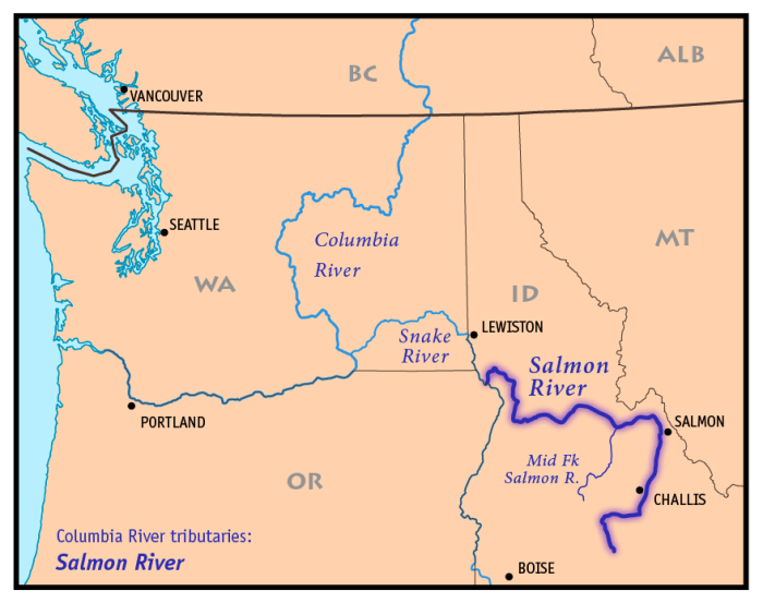 Lower salmon river map river