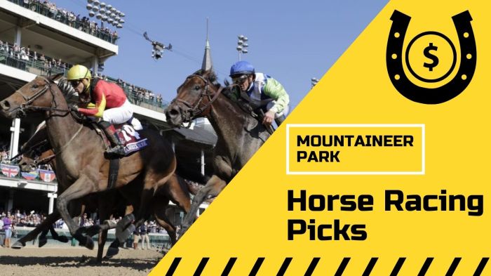 Mountaineer park results