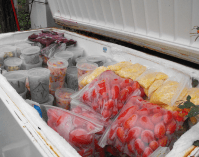 Freeze Drying Candy: A Food Preservation Technique