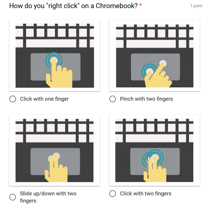 Mini Exams for Chromebook Quizzes