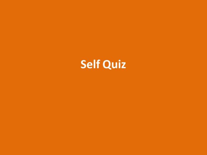 Mini Exams for Self-Paced Quizzes