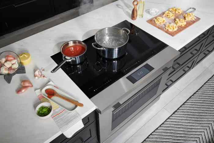 Wolf Oven Induction Cooking