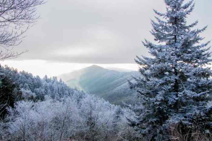 Smoky snow winter scenes mountain great wallpaper cove cades gatlinburg mountains tennessee park national tn frost scenery january cade hiking