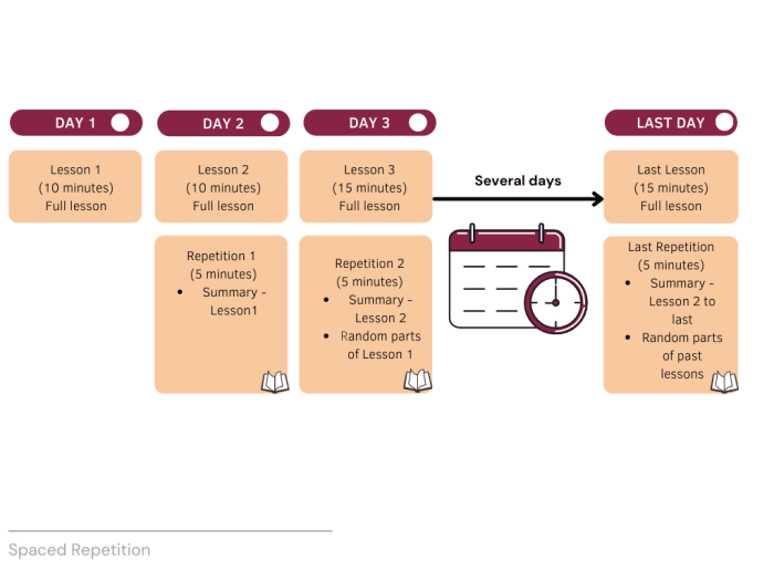 Mini Exams for Quiz Spaced Repetition Tools