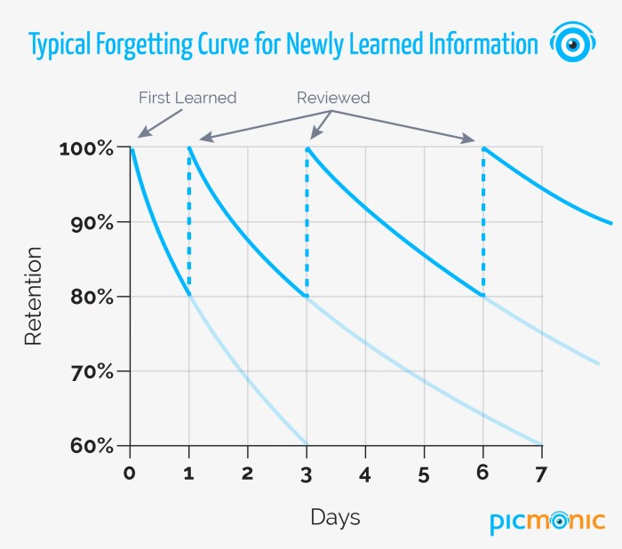 Mini Exams for Quiz Spaced Repetition Tools