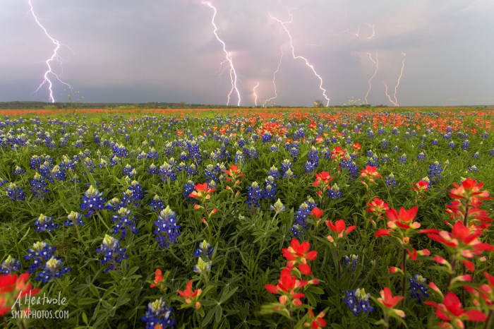 Spring thunderstorms nature country rare weather real beauty storm storms photography thunderstorm stormy barn beautiful lightning picture barns striking during