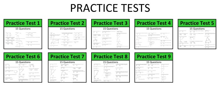 Mini Exams for Standardized Tests