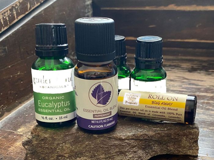 Essential oils bugs repel bug spray recipes oil diy away keep recipe blends top diffuser naturally repellent oneessentialcommunity spiders bed