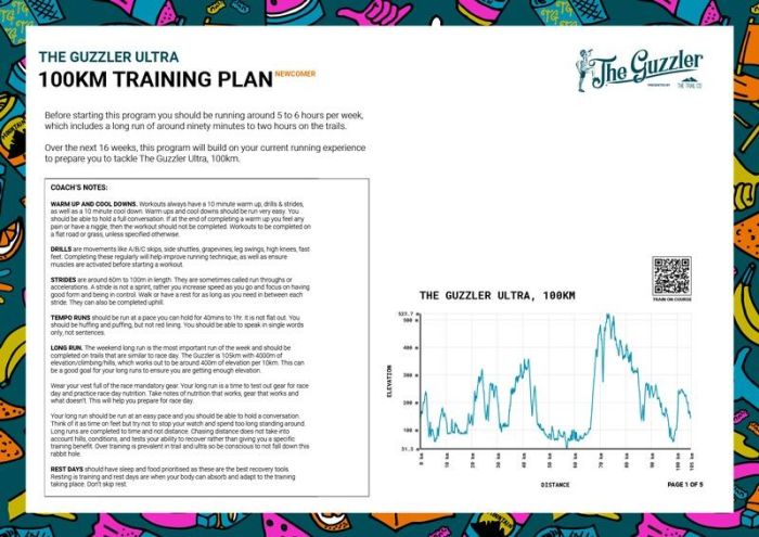 100 mile training plan