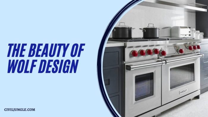 Wolf oven steam convection ovens series transitional zero sub wall open speed appliances vs cove minnetonka roth th inch subzero