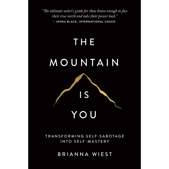 The mountain is you summary