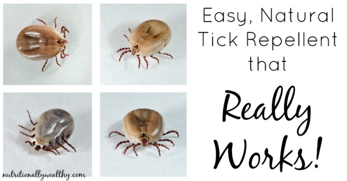 The effectiveness of natural repellents for ticks