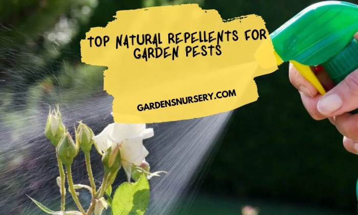 The role of natural repellents in reducing pesticide use