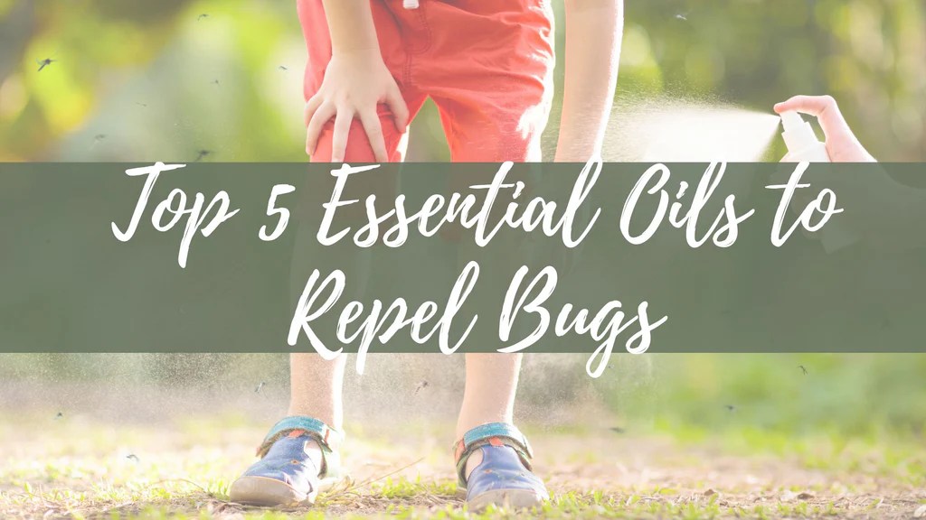 The use of essential oils in laundry detergent for bug control