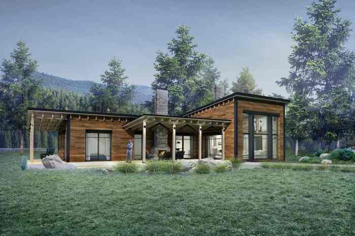 Modern mountain house plans