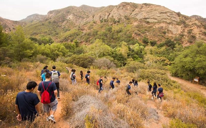 Bird Walks for Physical Health: A Springtime Exercise