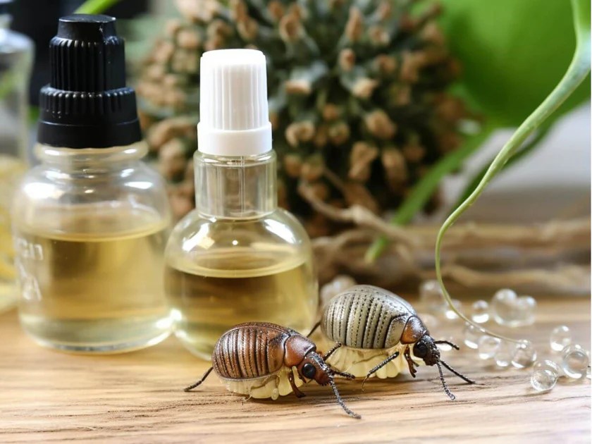 Natural insect repellents