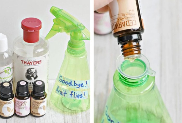 Fruit fly repellent kitchen items make control homeandgarden craftgossip