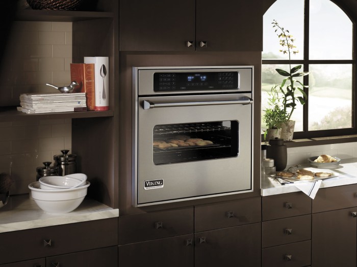 Wolf Oven vs. Bosch Ovens