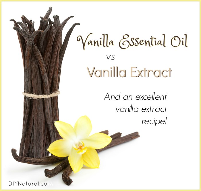 The benefits of vanilla extract for bug control