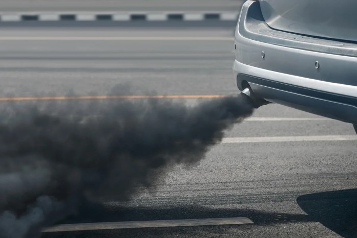 Pollution air cars causing cause breathe fourth environment