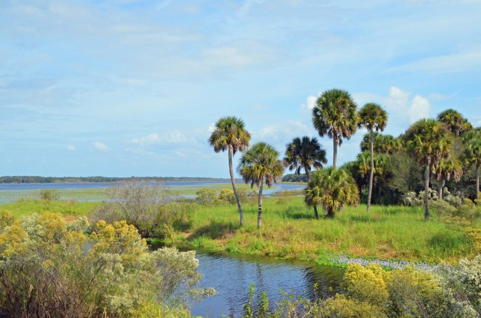 Myakka river compant