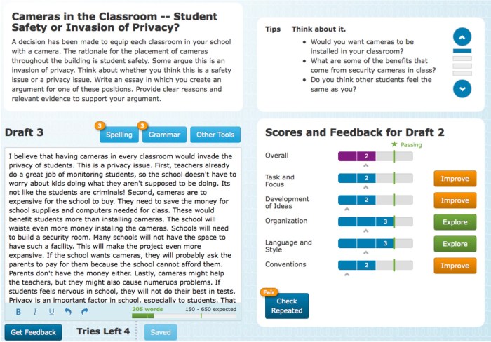 Mini Exams for Constructive Feedback