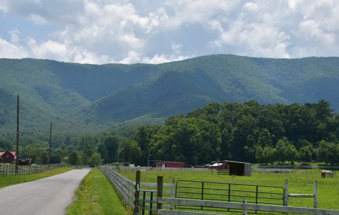 Wears valley smoky mountains