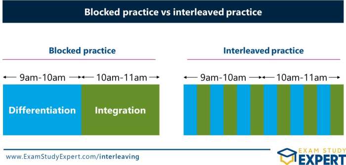 Mini Exams for Quiz Interleaving Tools