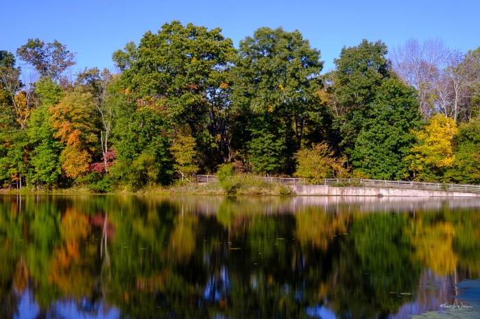 Billie johnson mountain lakes nature preserve