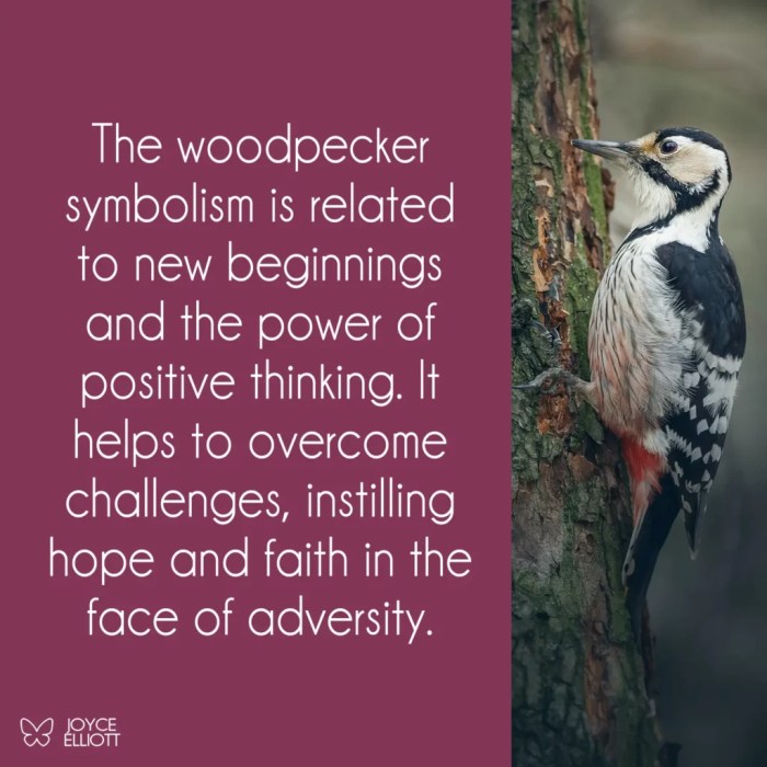 Woodpeckers as Signs of New Life and Growth