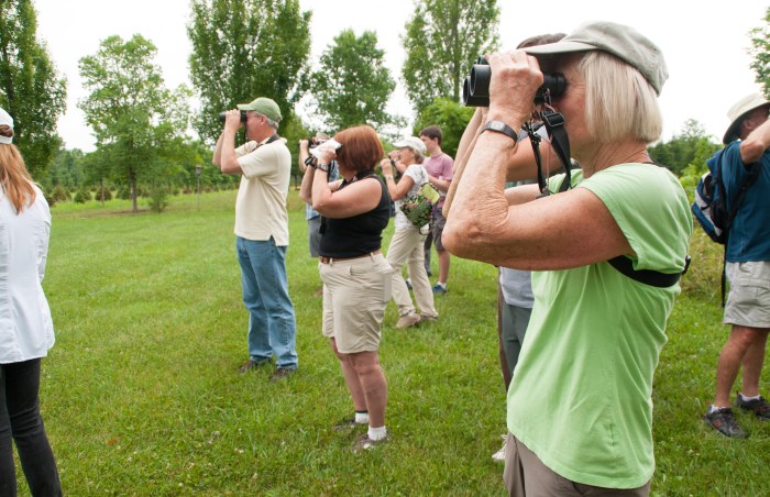 Bird Field Trips: A Springtime Adventure