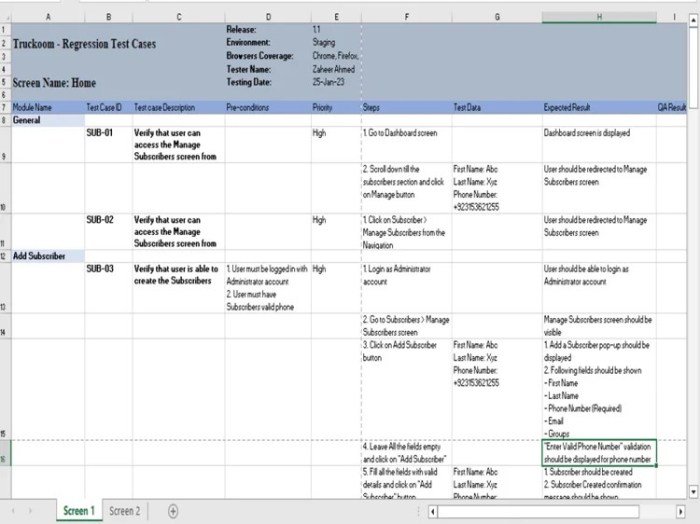 Holistic project test plan