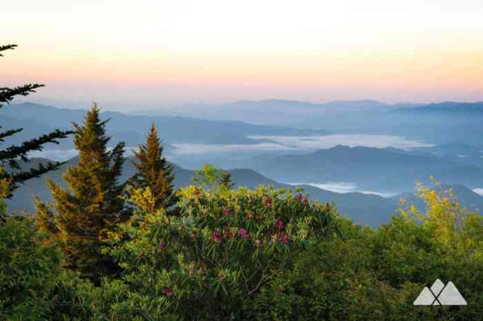 Smoky mountains bald andrews road trip hikes trails hiking mountain great trail worthy atlanta national hike forney ridge picnic perhaps