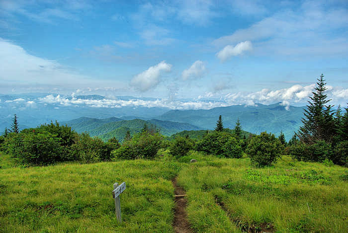 Andrews bald smoky mountains