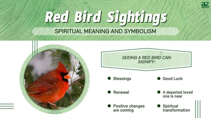 The Spiritual Significance of Birds in Spring