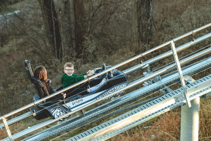 Wild stallion mountain coaster