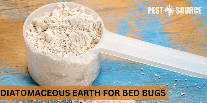 The role of diatomaceous earth in pest control