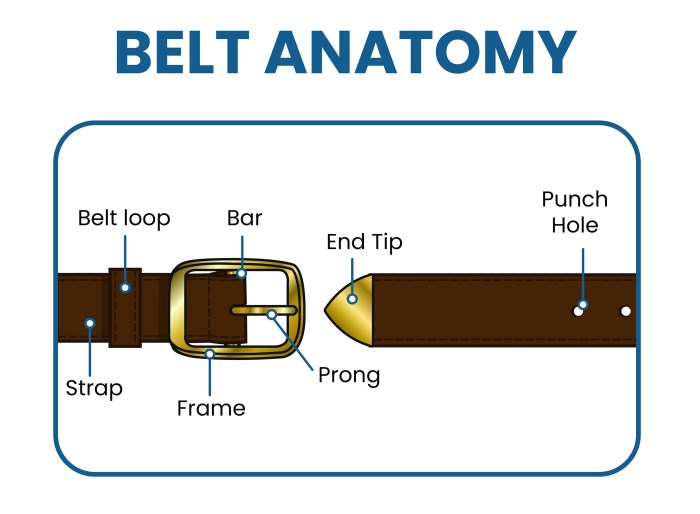 Belt anatomy belts parts buckle strap two men which