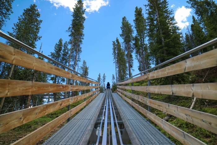 Best mountain coaster in gatlinburg