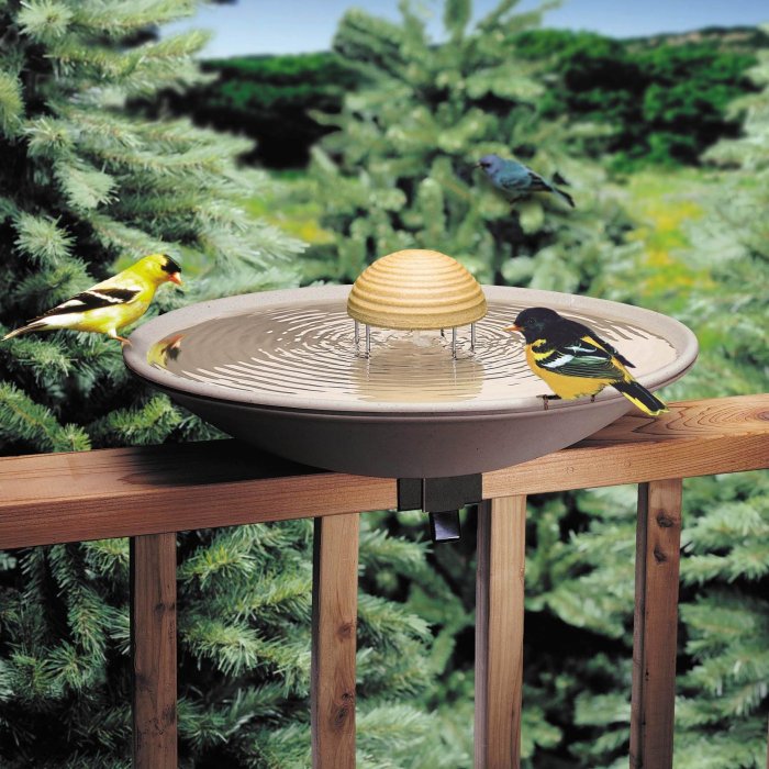 Bird Baths: Providing Water for Spring Birds