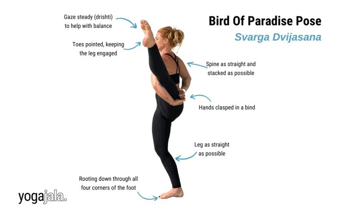 Birds and Yoga: A Springtime Practice